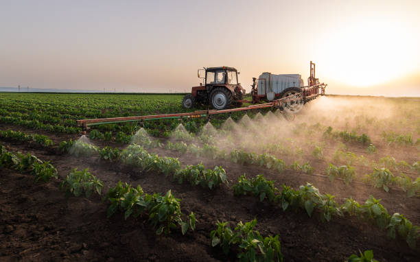 Pest Control Cost in Ventnor City, NJ