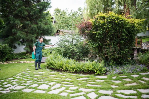 Best Affordable Pest Control Services  in Ventnor City, NJ