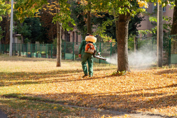 Flea Control Services in Ventnor City, NJ