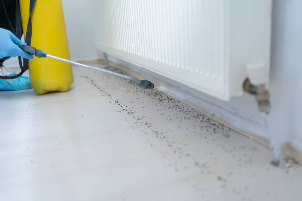 Best Pest Prevention Services  in Ventnor City, NJ