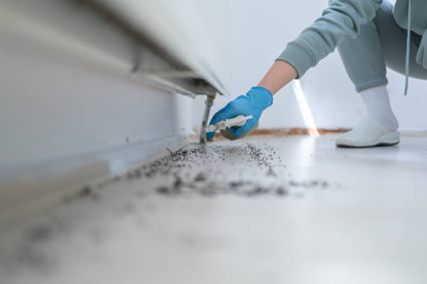 Best Affordable Pest Control Services  in Ventnor City, NJ
